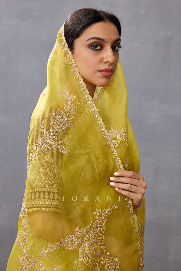 Gul-Mehtab Daavya Saree