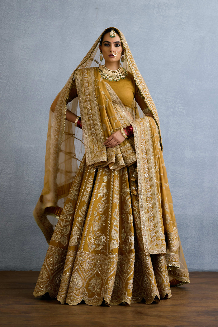 Mehre Malka Lehenga Set