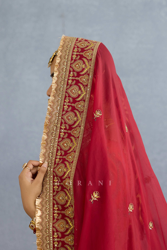 Shamse Hiral Lehenga Set