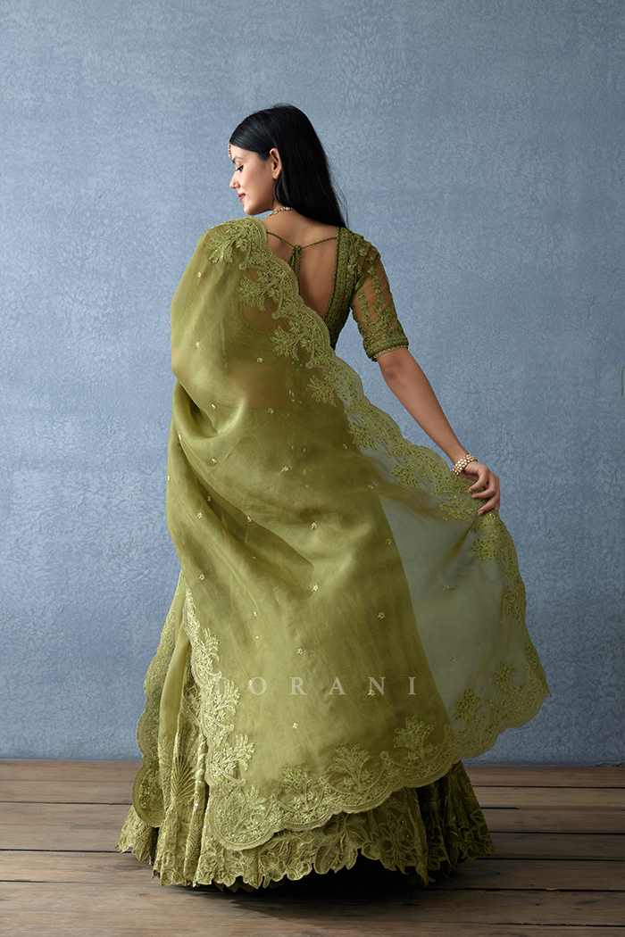 Bankuri Advika Lehenga Set