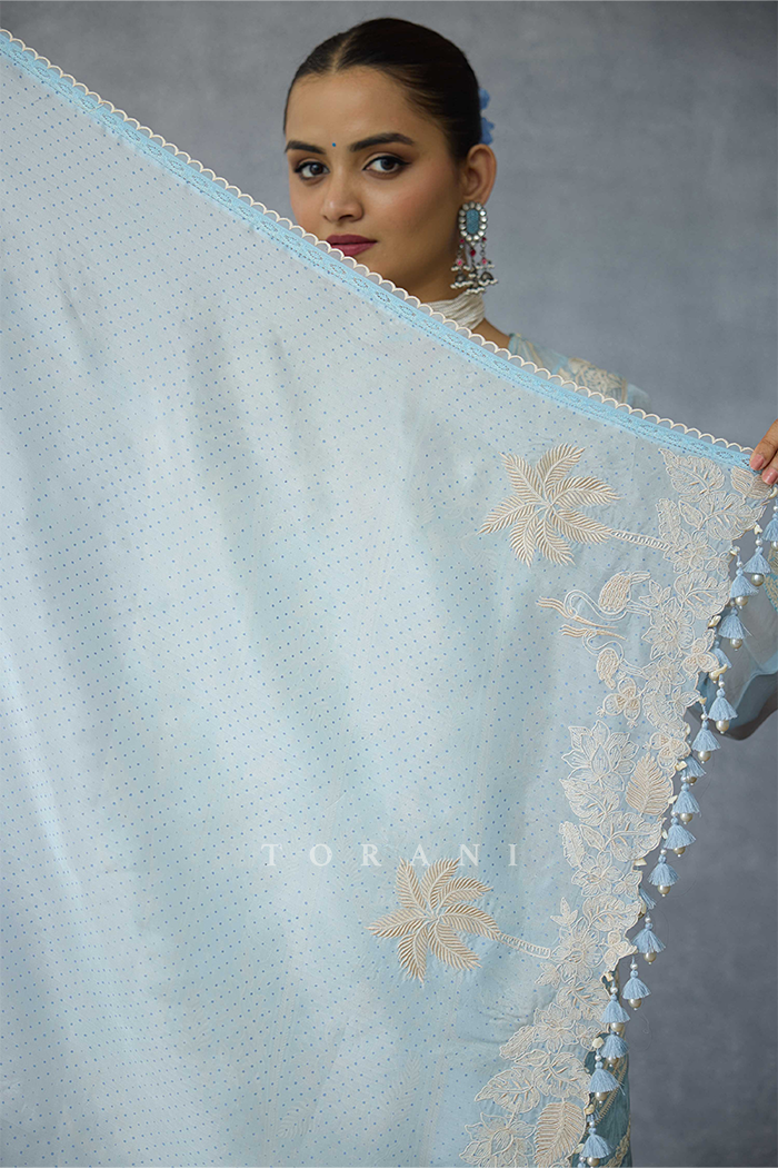 Pushkar Samrina Odhni