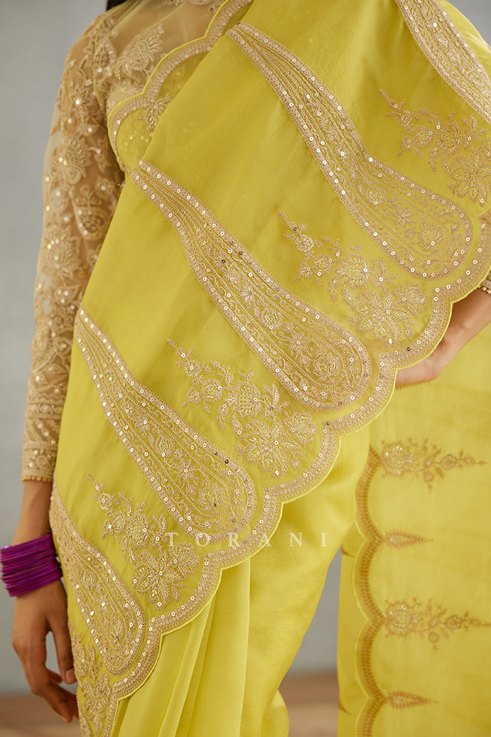 Gul-Mina Geetika Saree