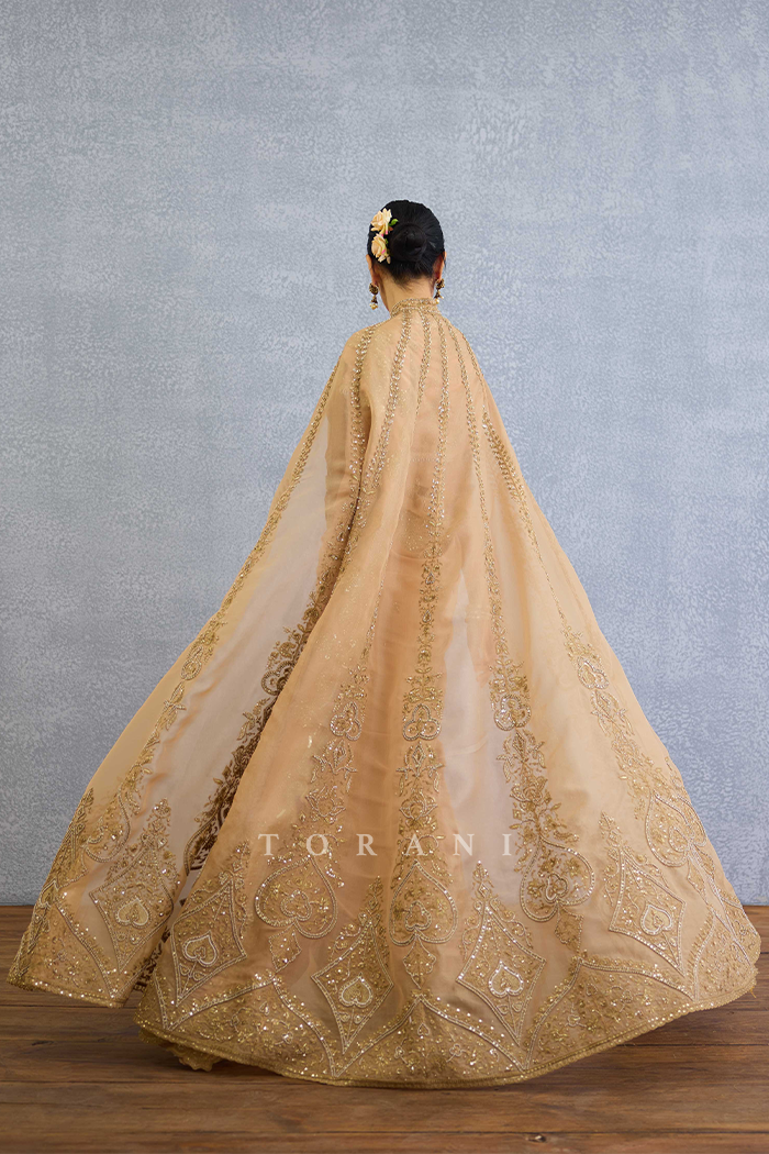 Kasoori Dilruba Saree Set