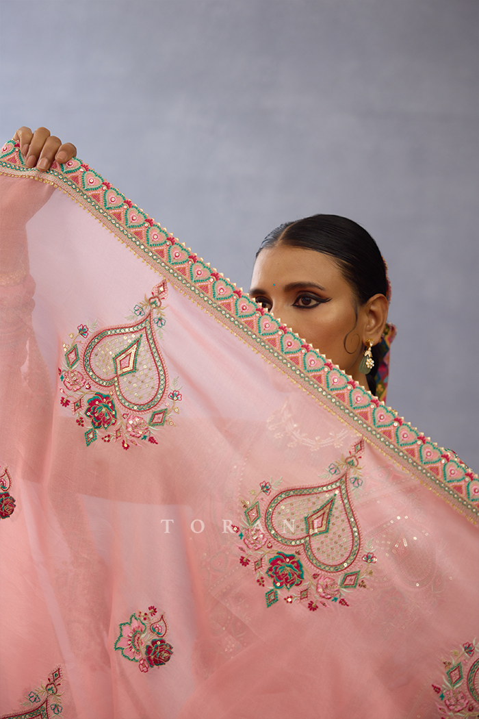 Dil Ruba Rubeka Saree