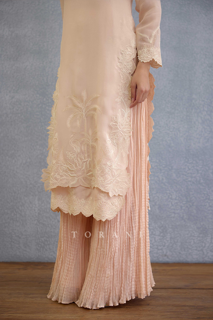 Gul-Mohar Aanya Kurta Set