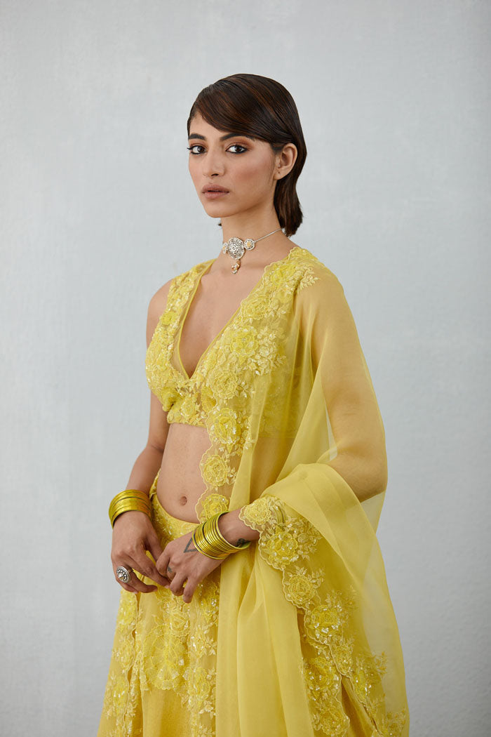 luxury lehenga choli set from Torani