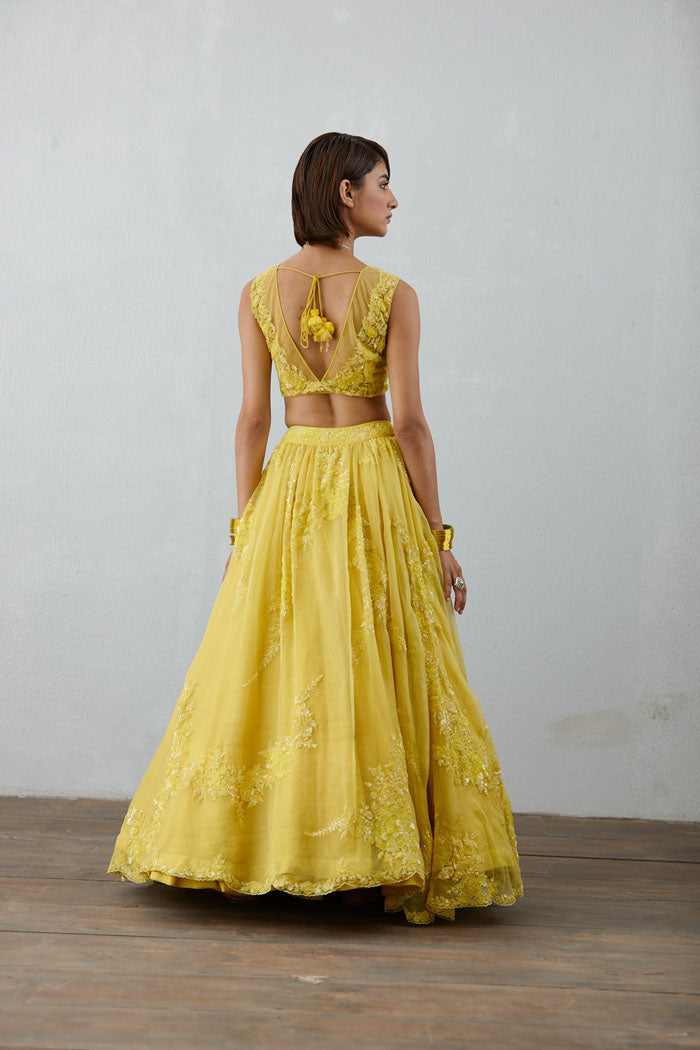 deep v neck choli with embroidered yellow lehenga