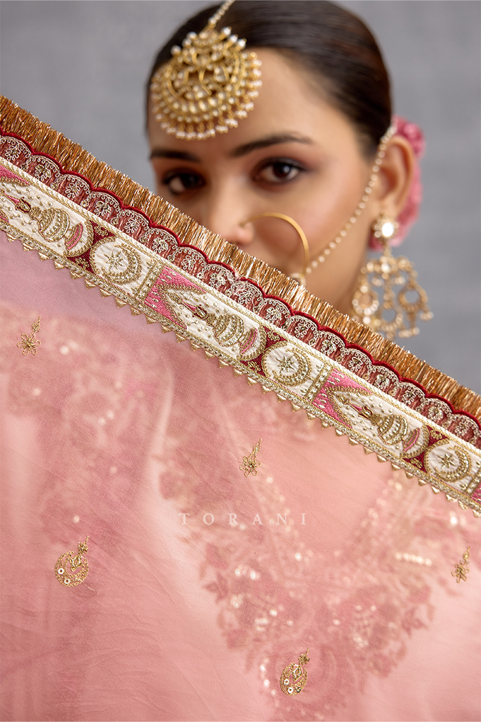 Maahe Mahtabe Insiyah Sharara Set