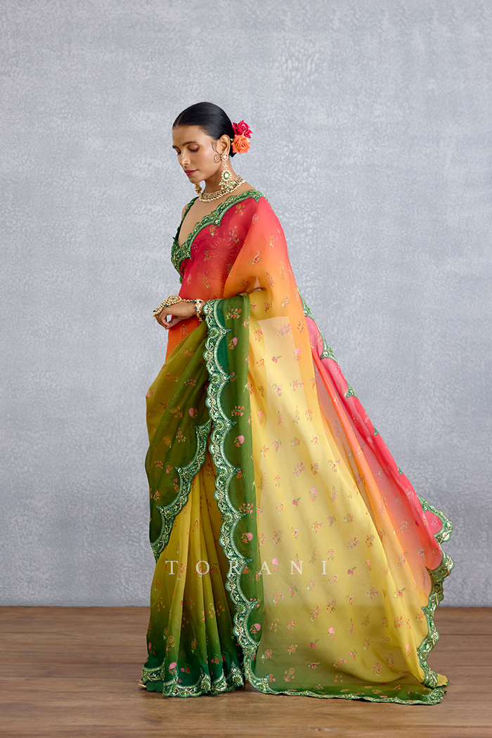 Chitrangi Ziya Saree