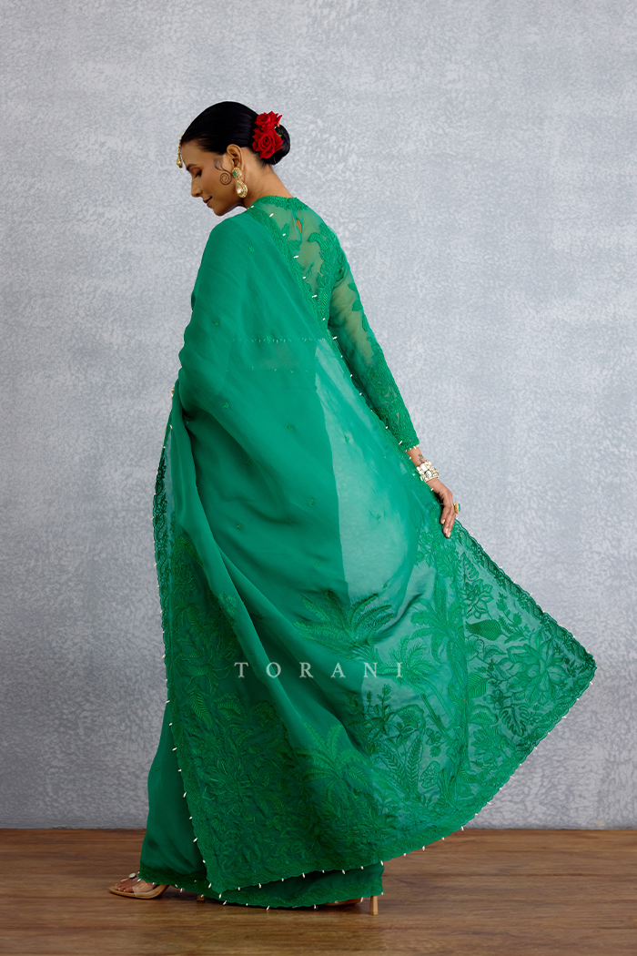 Parnabha Damini Saree