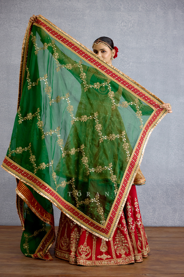 Rangnoor Hameeda Lehenga Set