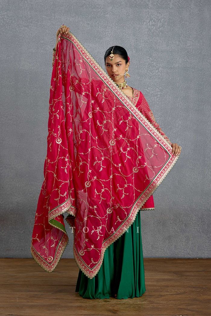 Dilkash Zamrud Sharara Set