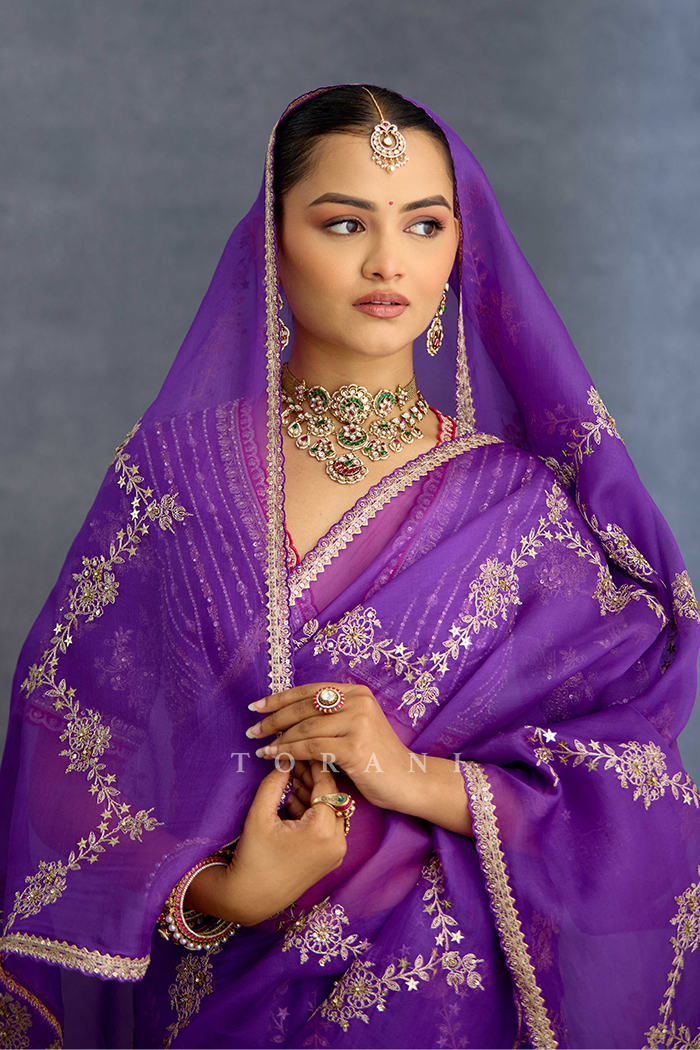 Banafsha Zareen Kinaar Saree