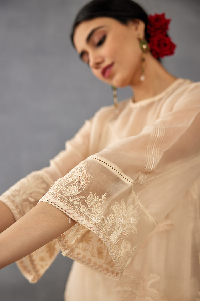 Mradu Sharbati Kurta Set