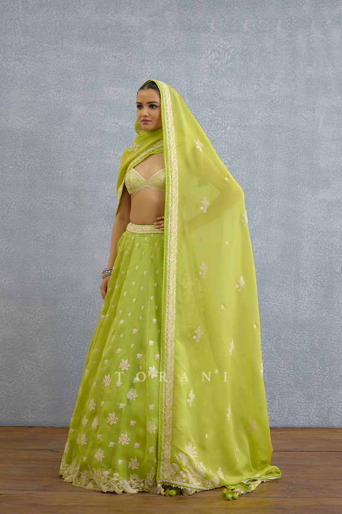 Angoori Avani Lehenga Set