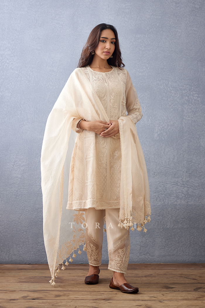 Mradu Samrina Kurta Set