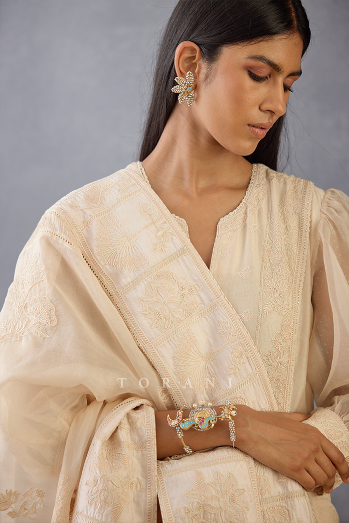 Mradu Adhira Anarkali Set