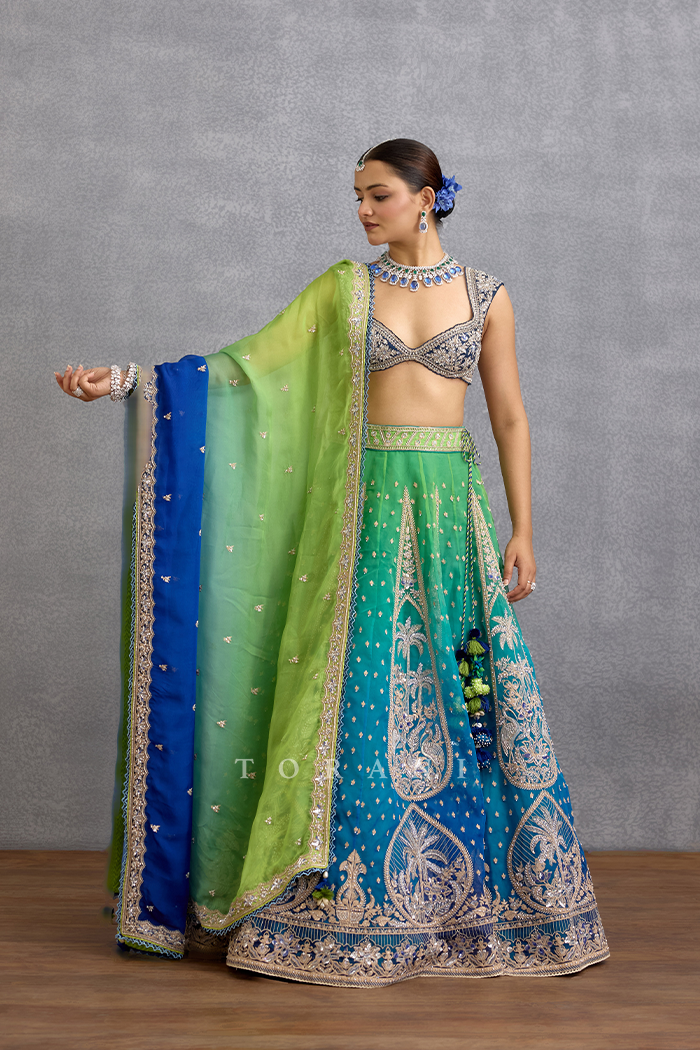 Varnika Udita Odhni
