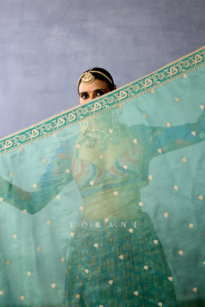 Neernidhi Pravartika Lehenga Set