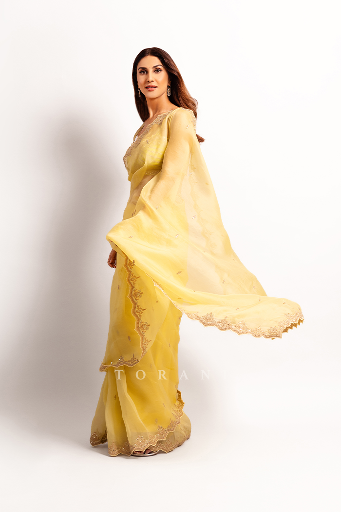 Vaani Kapoor in Our Gul-Mina Nayantara Zarra Saree Set