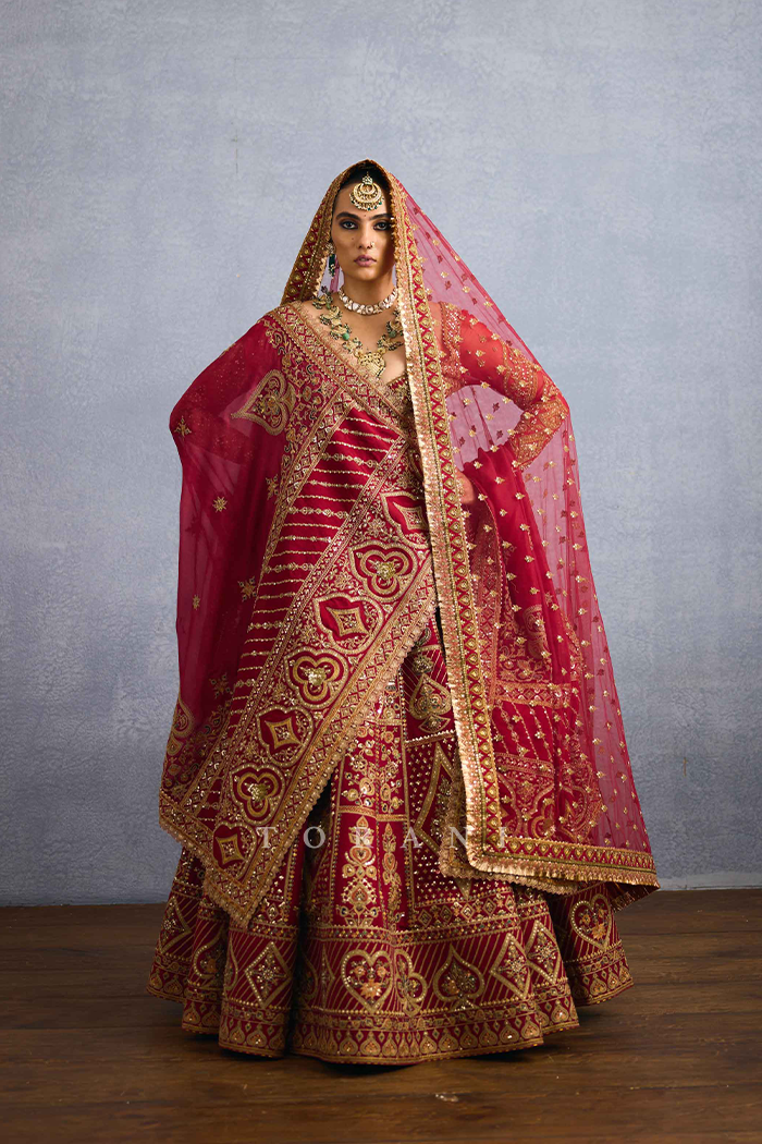 Shamse Tania Lehenga Set – Torani India