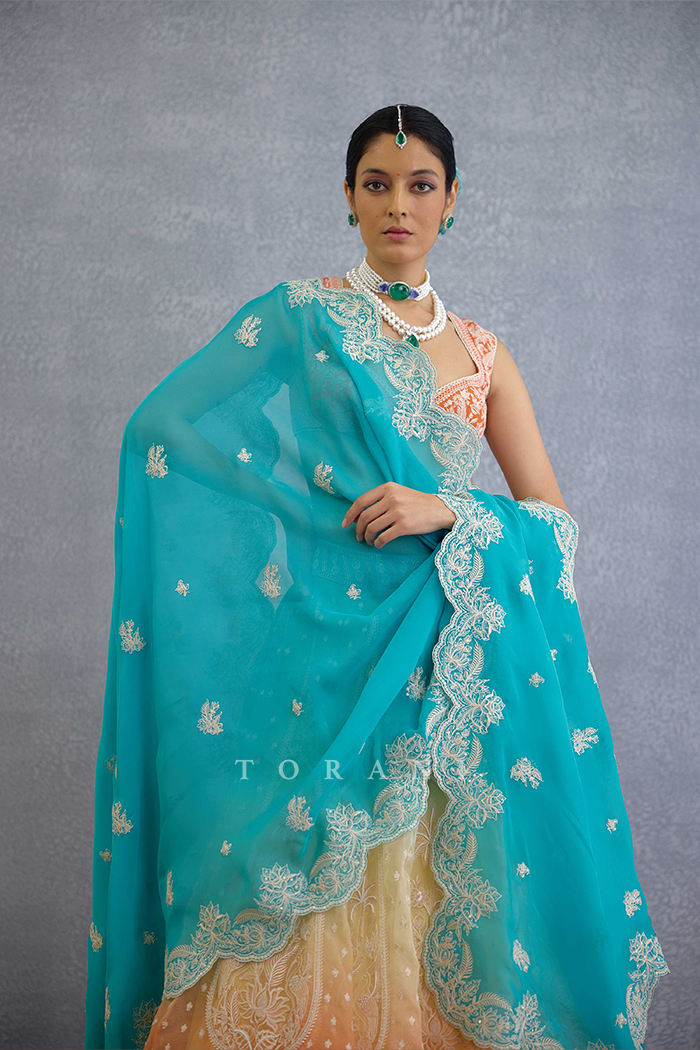 Neelima Meera Odhni