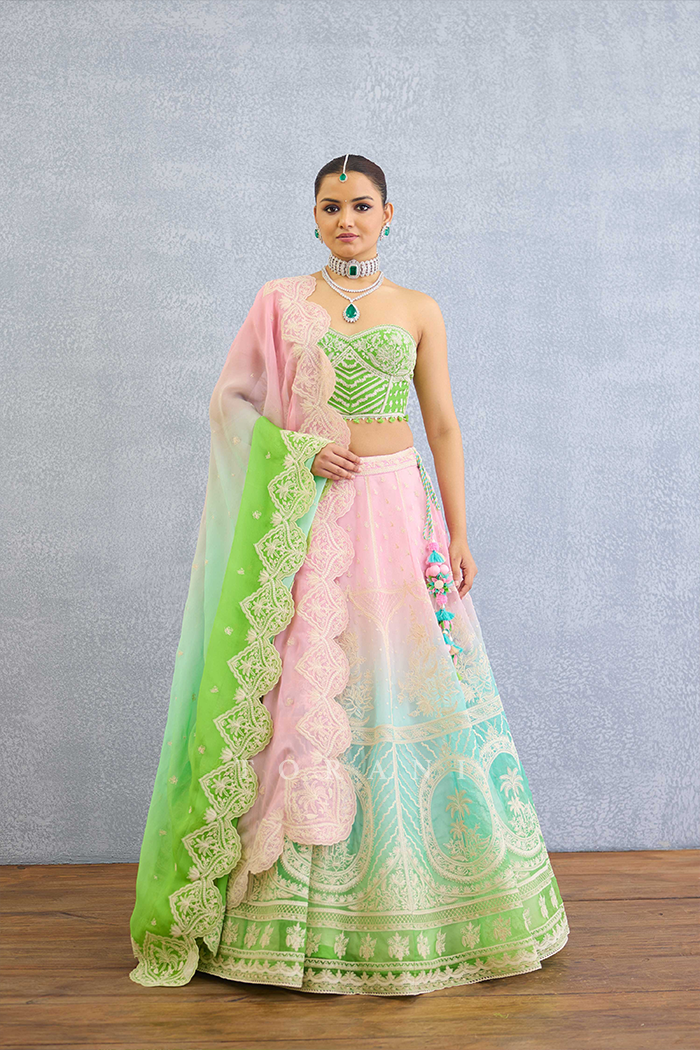 Prakriti Ayra Lehenga Set