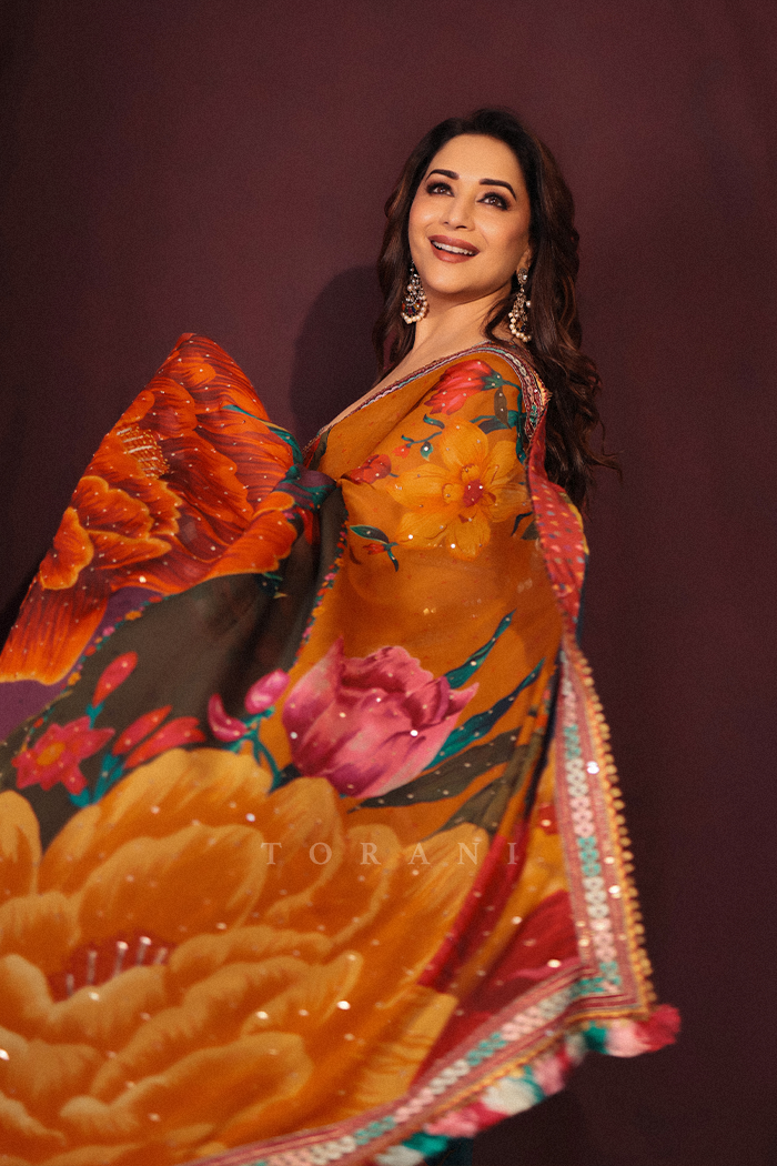 Madhuri Dixit in our Dil Rang Nigar Saree Set