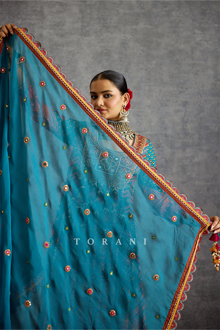 Niladri Nadira Anarkali Set