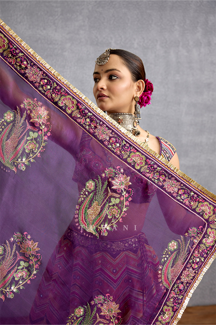 Komudika Abhisarika Lehenga Set