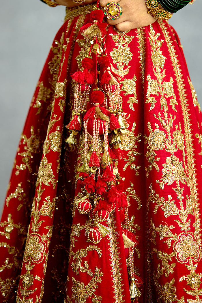 Zehra Malikaana Lehenga Set