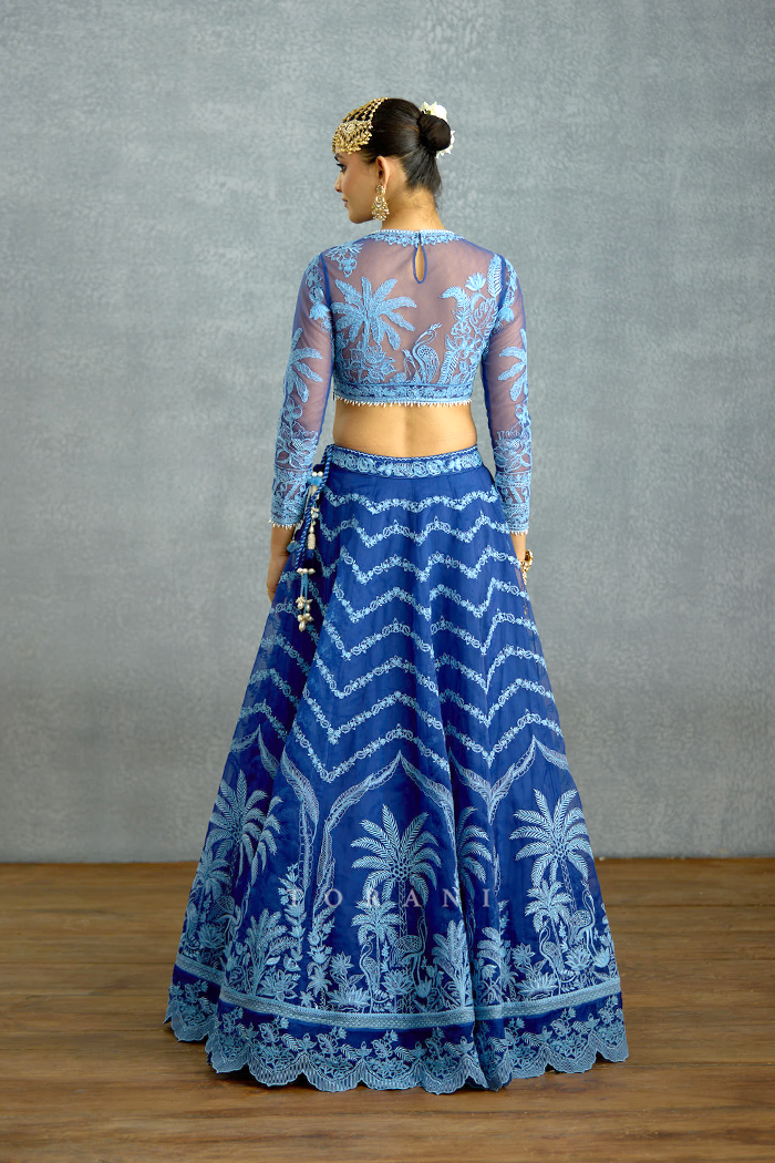 Shayamala Indira Lehenga Set