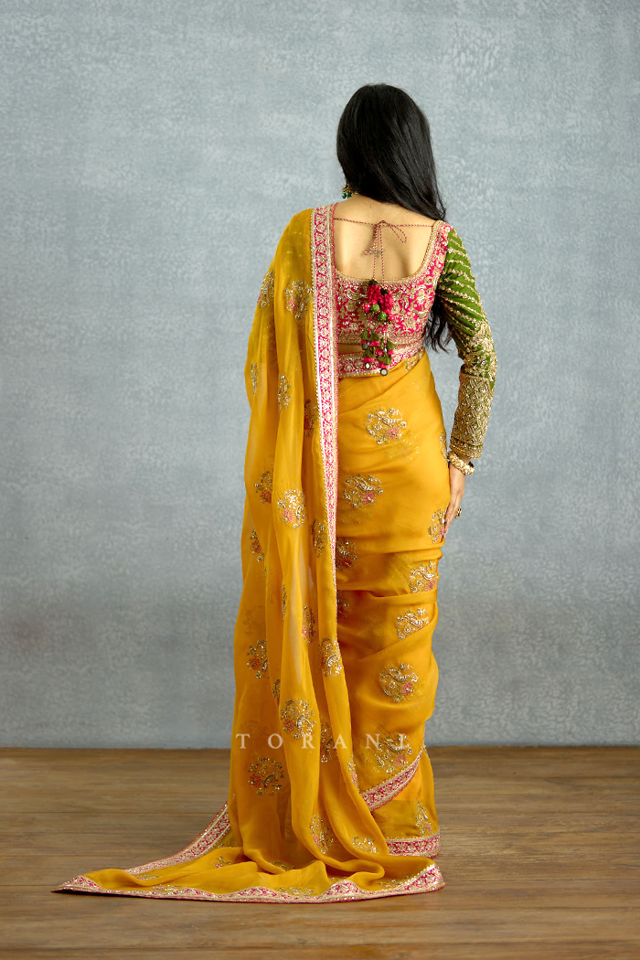 Naargis Zard Naureen Saree