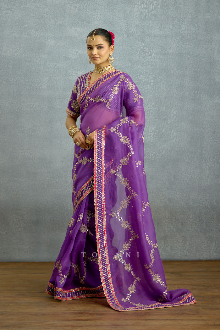 Banafsha Zareen Dastoor Saree