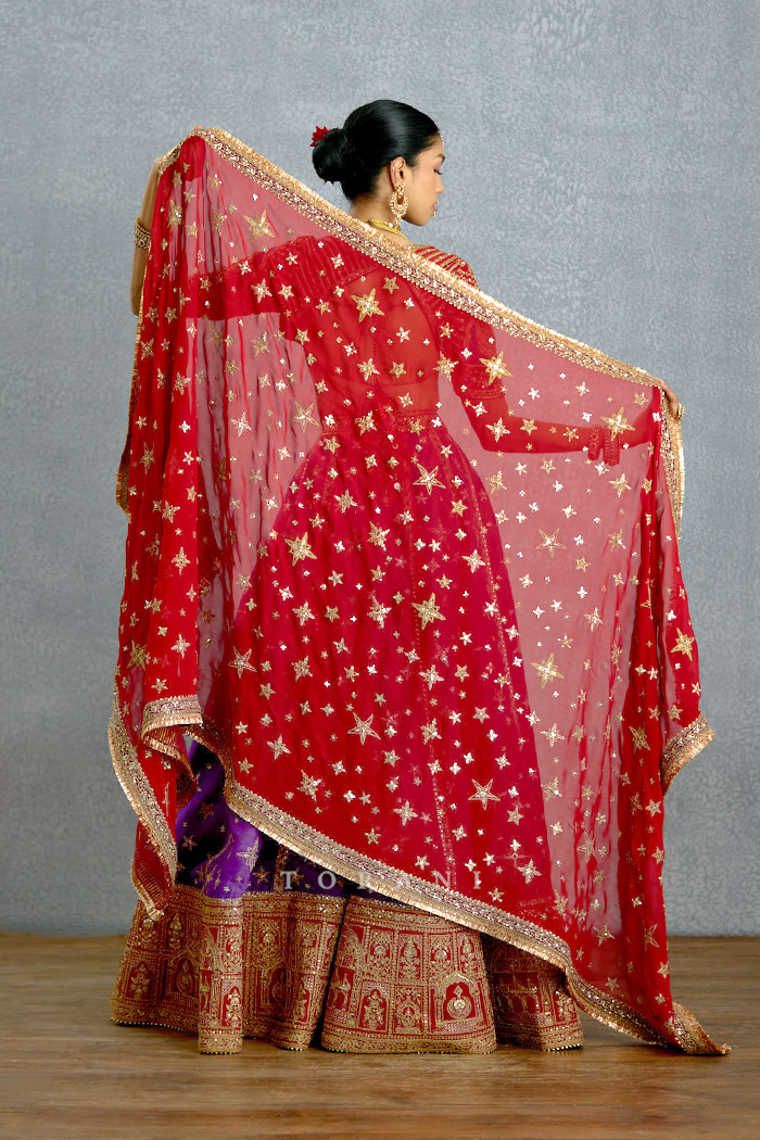 Banafsha Zehra Aks Lehenga Set