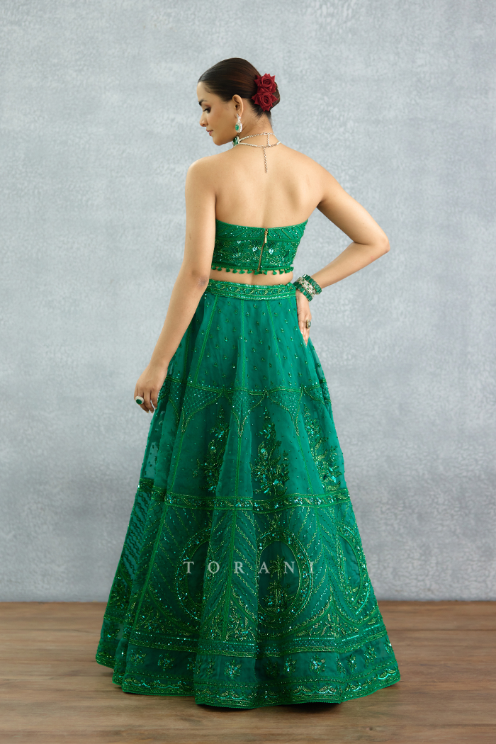 Parnabha Ayra Lehenga Set