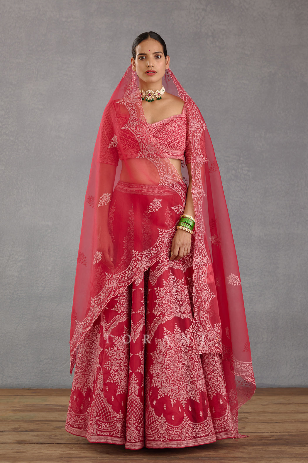 Rang Raas Meher Passa Lehenga Set