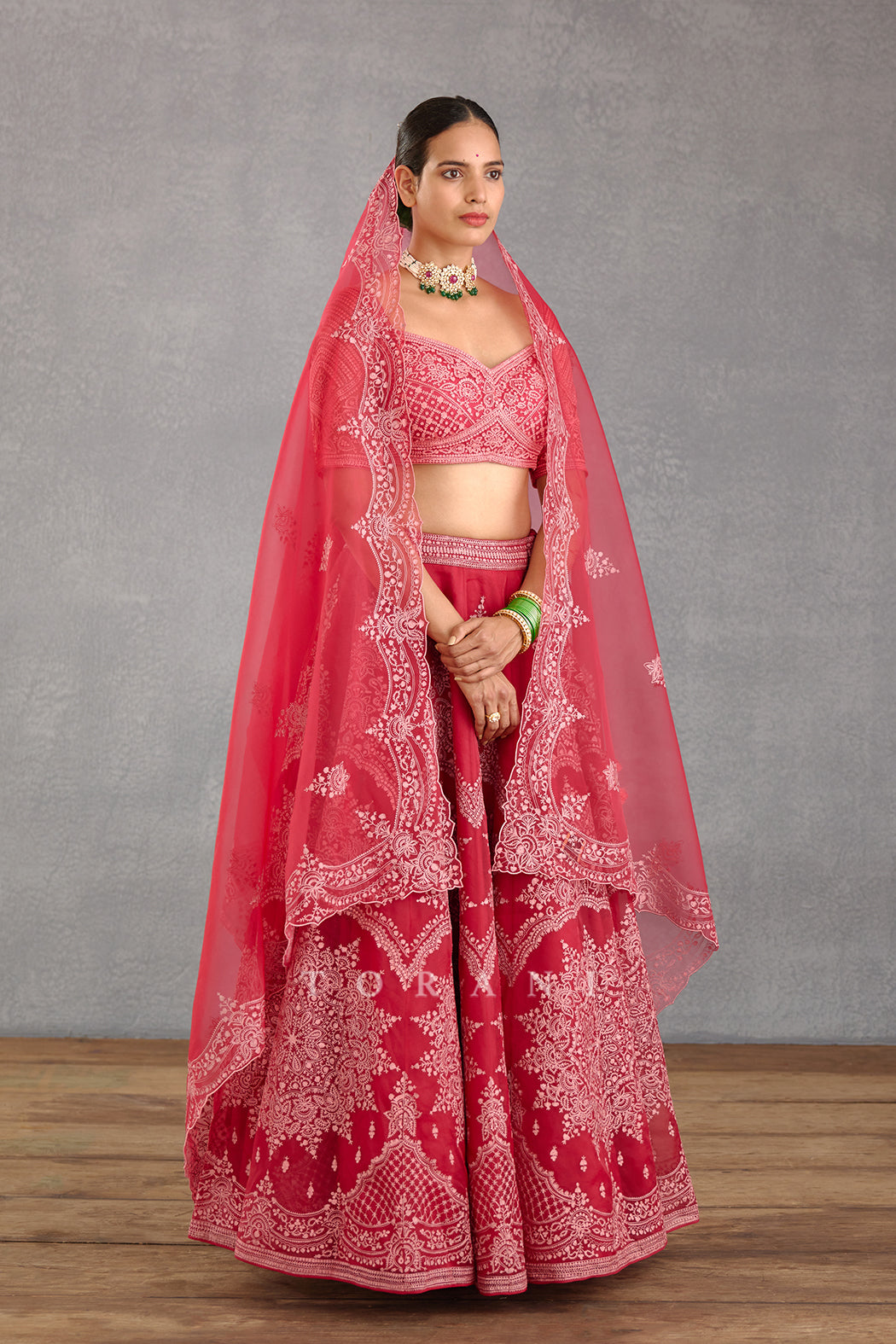 Rang Raas Meher Passa Lehenga Set