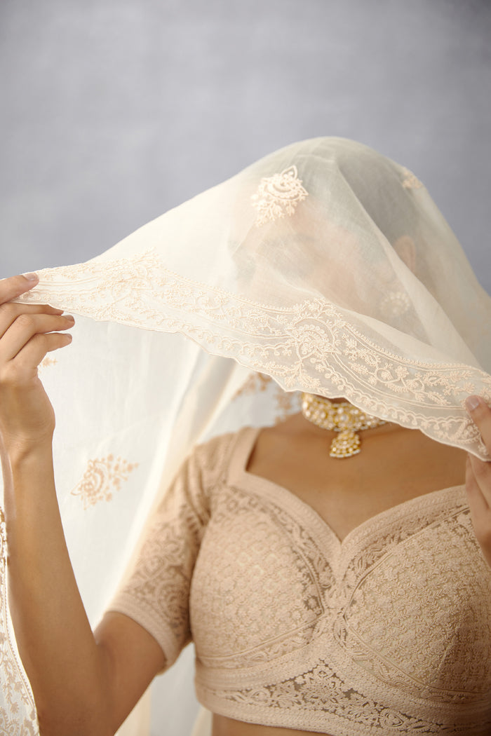 Kasturi Meher Passa Odhni