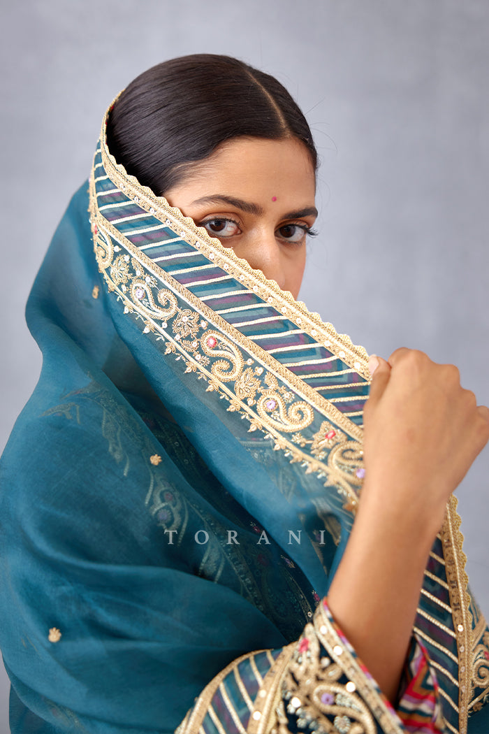 Shabnami Qurbat Odhni