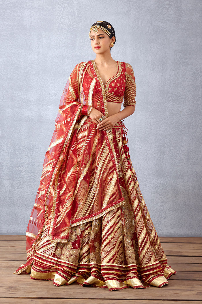 Wedding Lehenga choli set in Butterfly Net