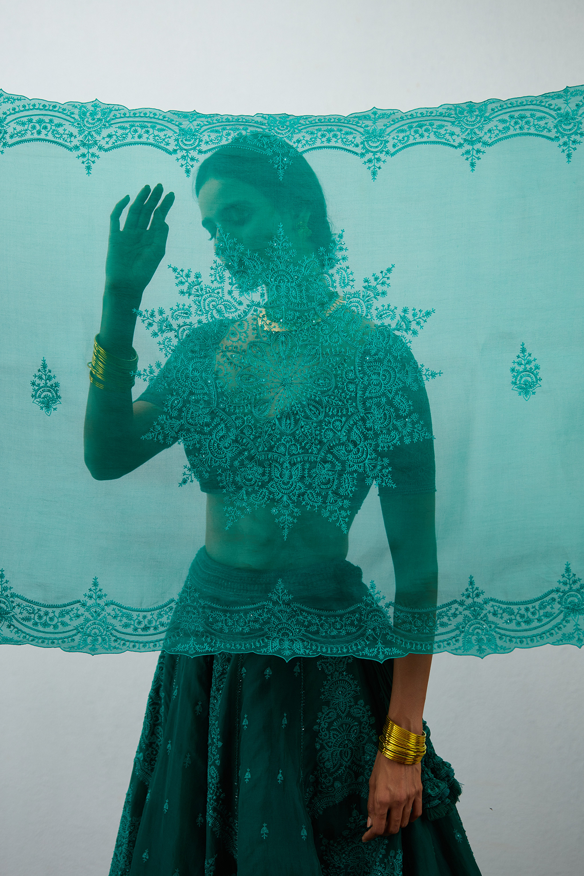 Sabz Mehreen Passa Lehenga Set