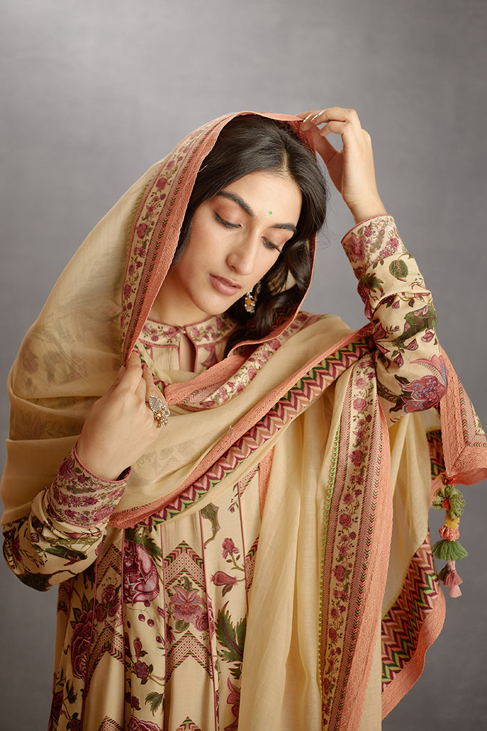 Musk Beige Plain Odhni With Printed handwoven chanderi Border