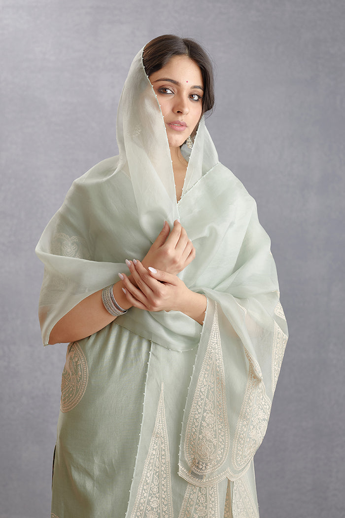 Jaituni Nitara Odhni