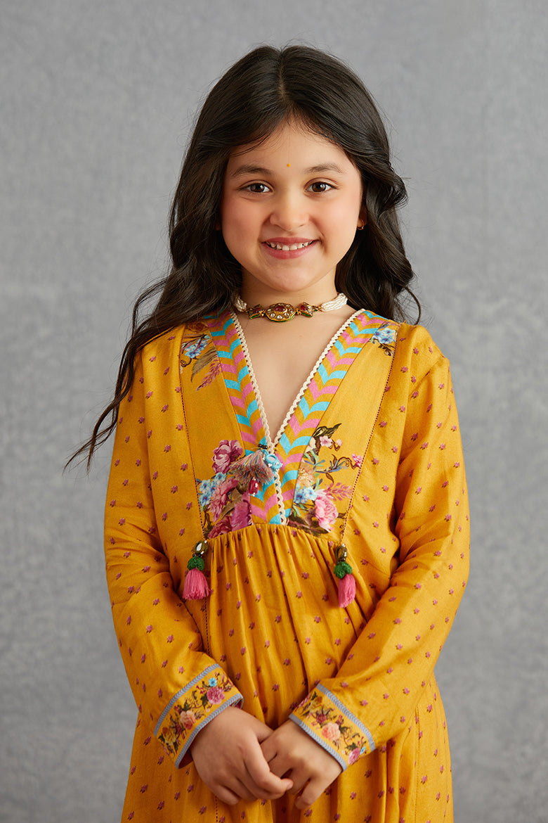 Sunehra Gohar Kurta Set