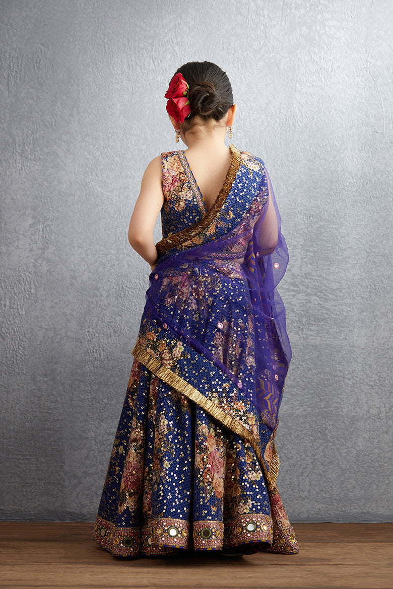 Jamuni Aastika Lehenga Set