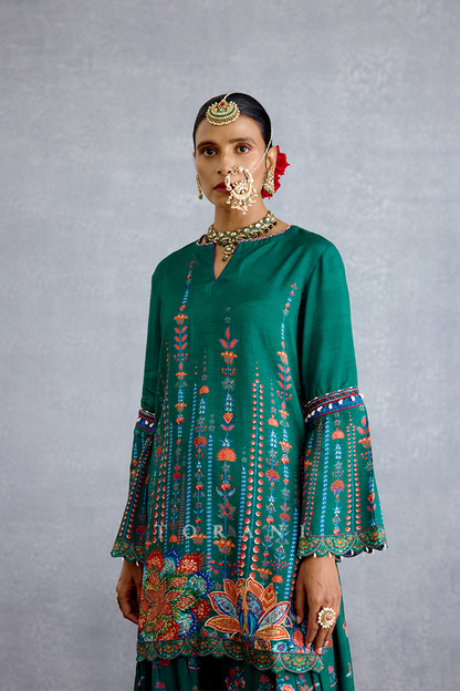 Mayurika Ajanta Gharara Set