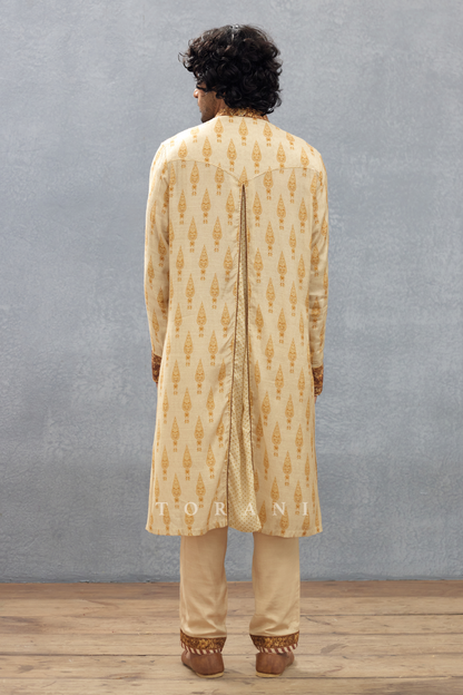 Dahliya Pravir Kurta Set