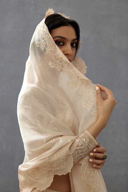 Mradu Indira Lehenga Set