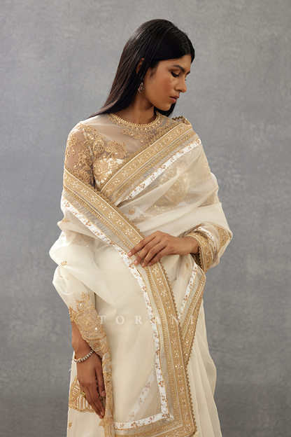 Gul-Bano Taashi Saree